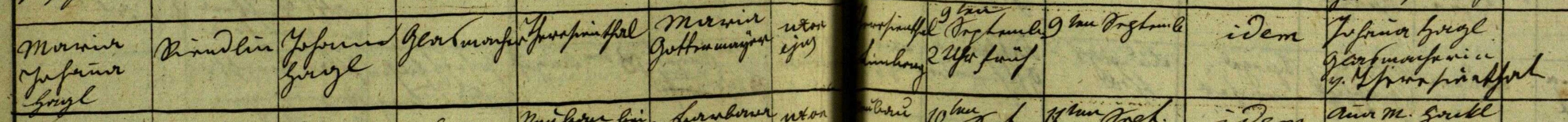 Klicken Sie zuerst in den Kreismittelpunkt, dann an irgendeiner Stelle auf den Kreis selbst.